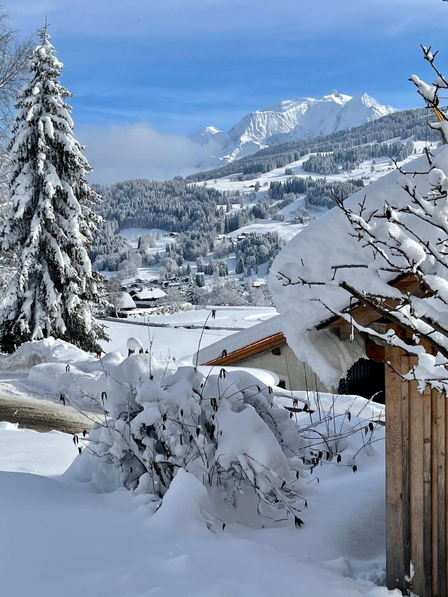Chalet à Megève-Vauvray - Appartements tout confort, vue Mont Blanc Demi-Quartier Exterior foto