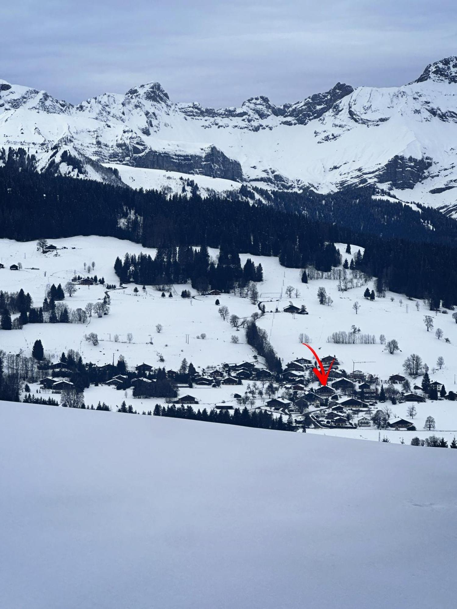 Chalet à Megève-Vauvray - Appartements tout confort, vue Mont Blanc Demi-Quartier Exterior foto